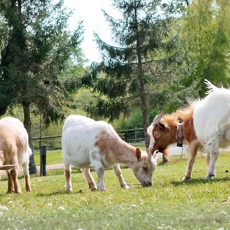 Maison Traditionnelle Restauree - Animaux Acceptes, Wifi, Jardin Clos - Fr-1-497-167