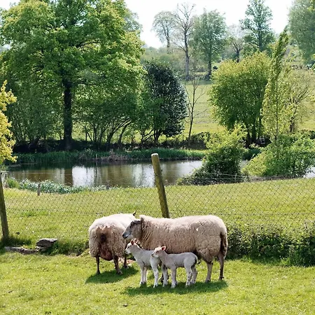 Maison Traditionnelle Restauree - Animaux Acceptes, Wifi, Jardin Clos - Fr-1-497-167 * Landisacq